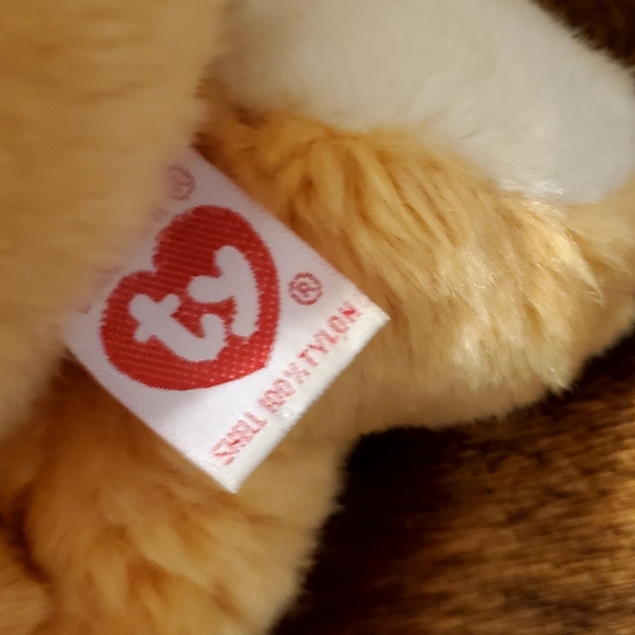Vintage "Hope" The  Beanie Baby Praying Bear Plush Ty Beanie Buddie 1999 - Picture 7 of 7